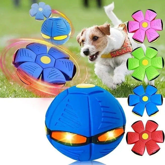 Collapsible Summer Ball/Frisbee Toy