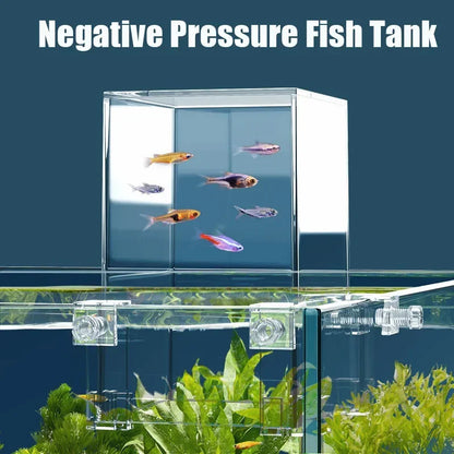 Transparent Negative Pressure Aquarium Box