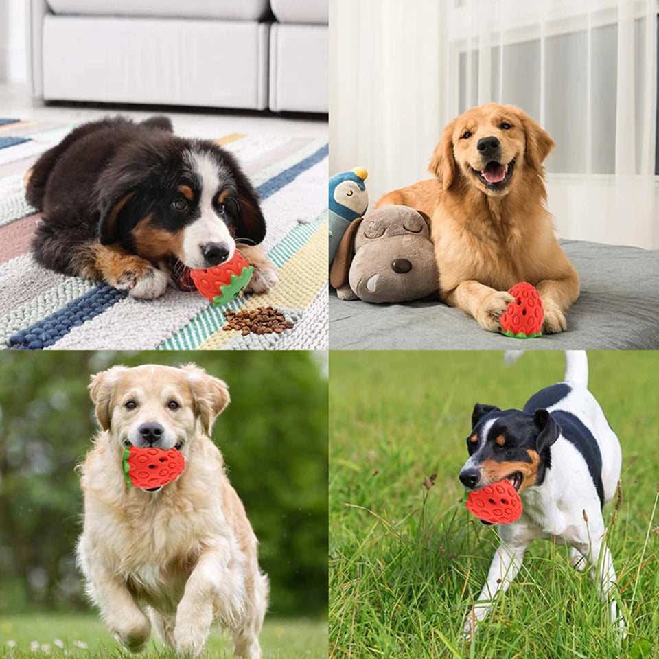 Durable Food Dispensing Rubber Chew Toy