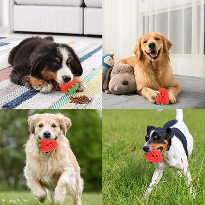 Durable Food Dispensing Rubber Chew Toy