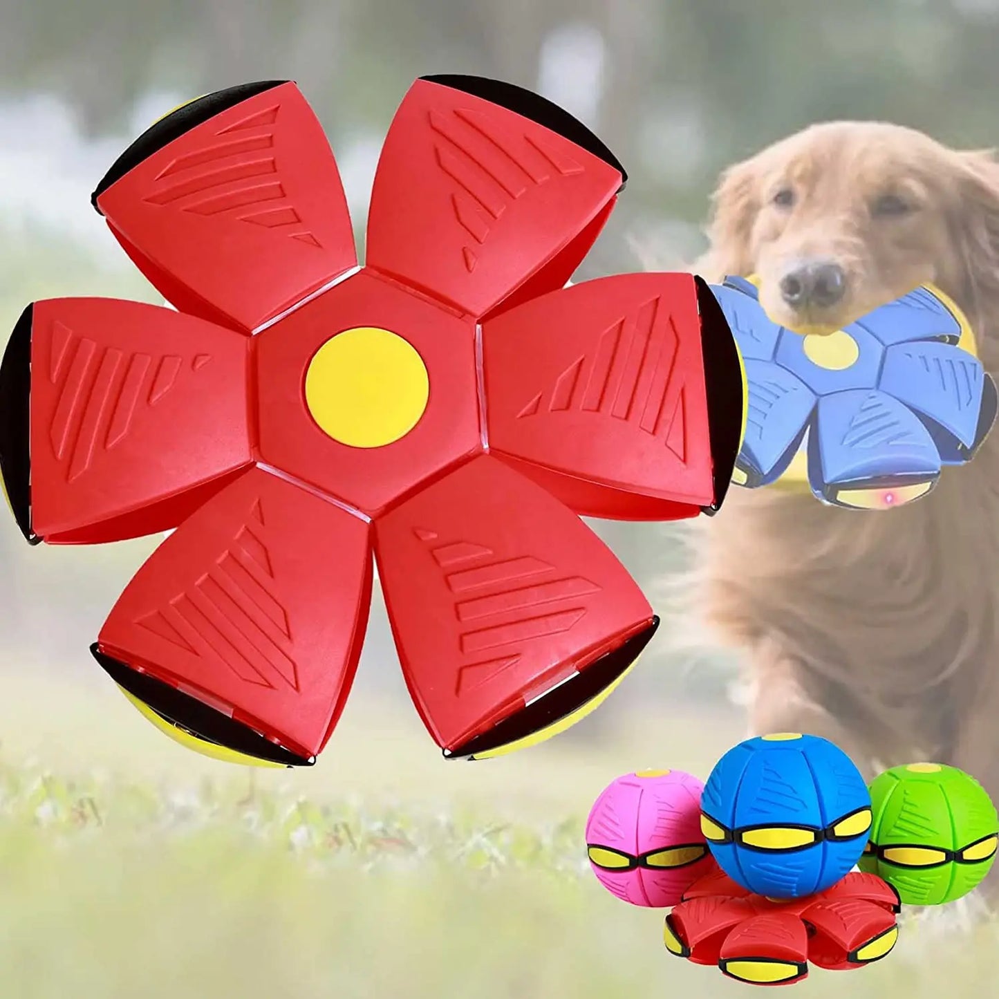 Collapsible Summer Ball/Frisbee Toy