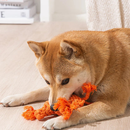 Variety of Handmade Cotton Roped Chew Toys