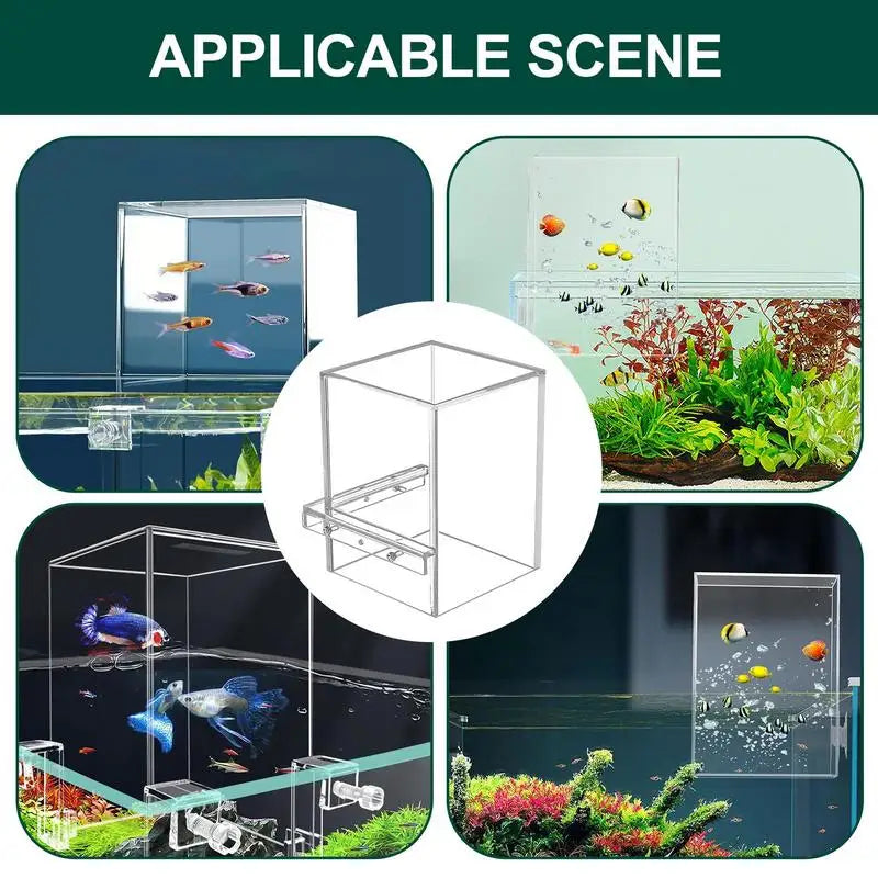 Decorative Transparent Above Water Fish Tank Aquarium Accessory