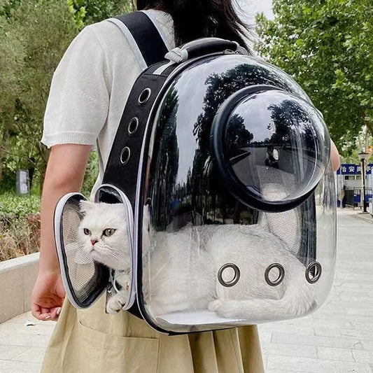 Transparent Comfortable Bubble Small Dog/Cat Backpack