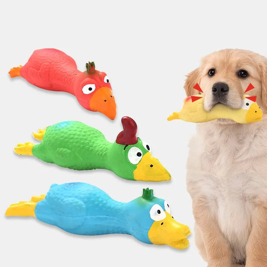 Variety of Colorful Latex Squeaky Dog Chew Toys