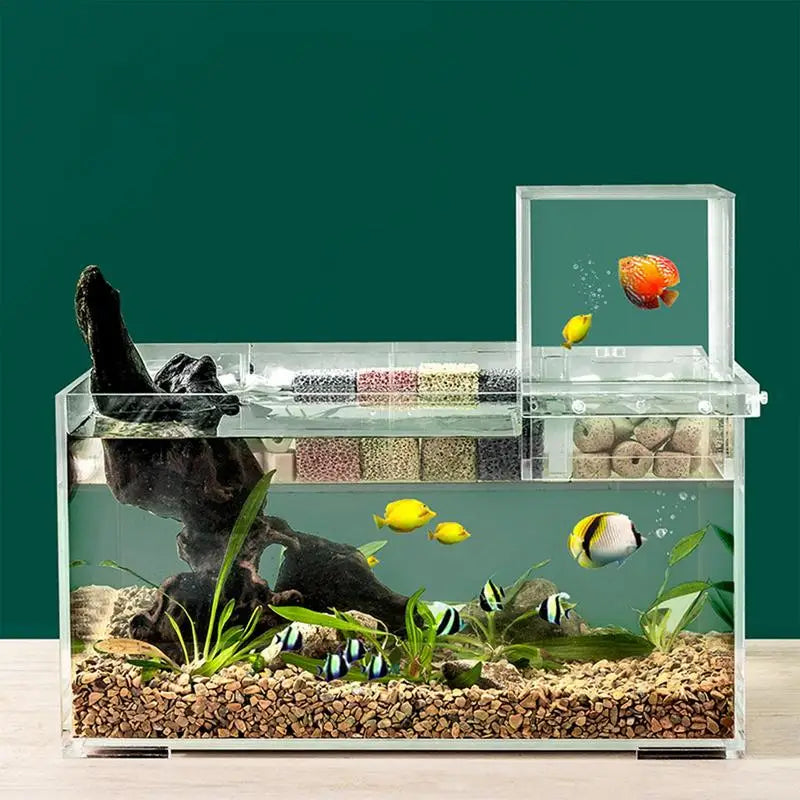 Decorative Transparent Above Water Fish Tank Aquarium Accessory