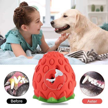 Durable Food Dispensing Rubber Chew Toy