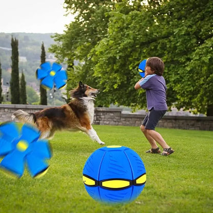 Collapsible Summer Ball/Frisbee Toy