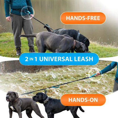 Durable High-Quality Duel Bungee Dog Leash with Comfortable Hands Free Waist Strap