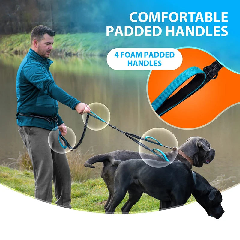 Durable High-Quality Duel Bungee Dog Leash with Comfortable Hands Free Waist Strap