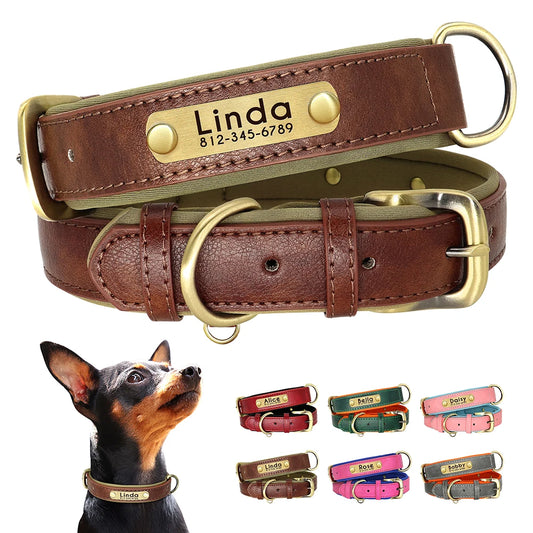 Custom Padded Leather Dog Collars