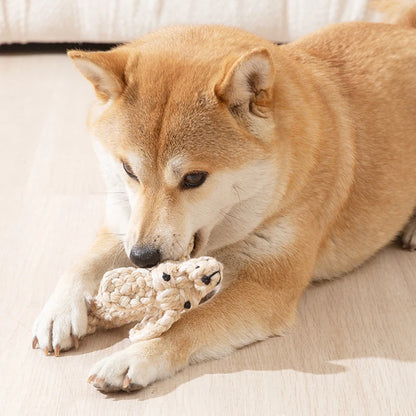 Variety of Handmade Cotton Roped Chew Toys