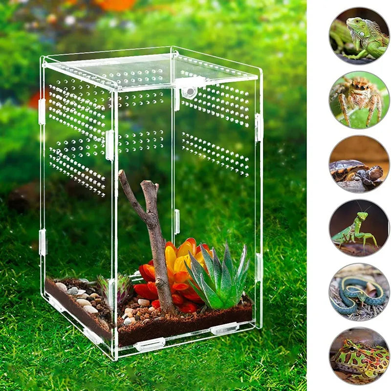 Acrylic Reptile/Amphibian Terrarium Breeding Box