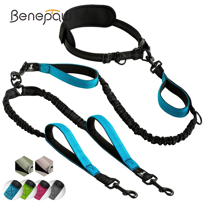 Durable High-Quality Duel Bungee Dog Leash with Comfortable Hands Free Waist Strap