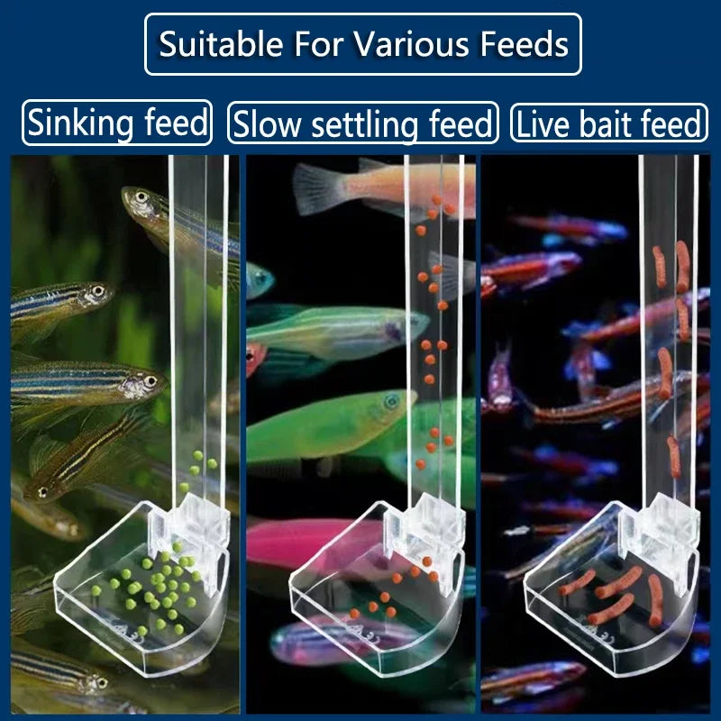 Acrylic Aquarium Feeding Tube & Bowl