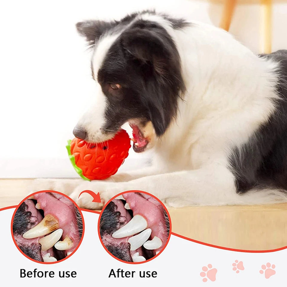 Durable Food Dispensing Rubber Chew Toy