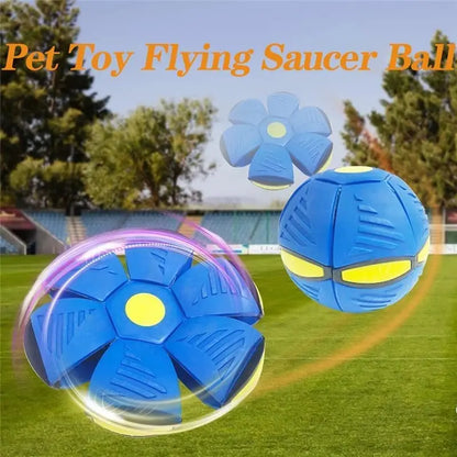 Collapsible Summer Ball/Frisbee Toy