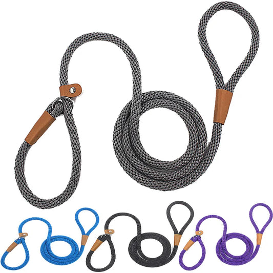 Durable Stylish Roped Training Collar Dog Leash