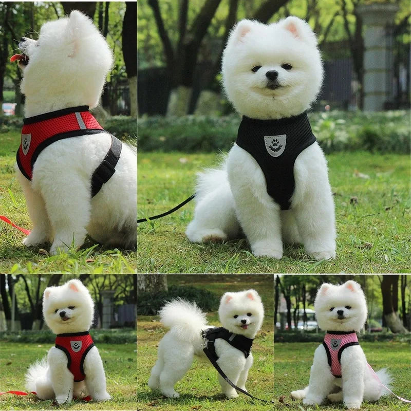 Breathable Mesh Colorful Small Dog/Cat Harness
