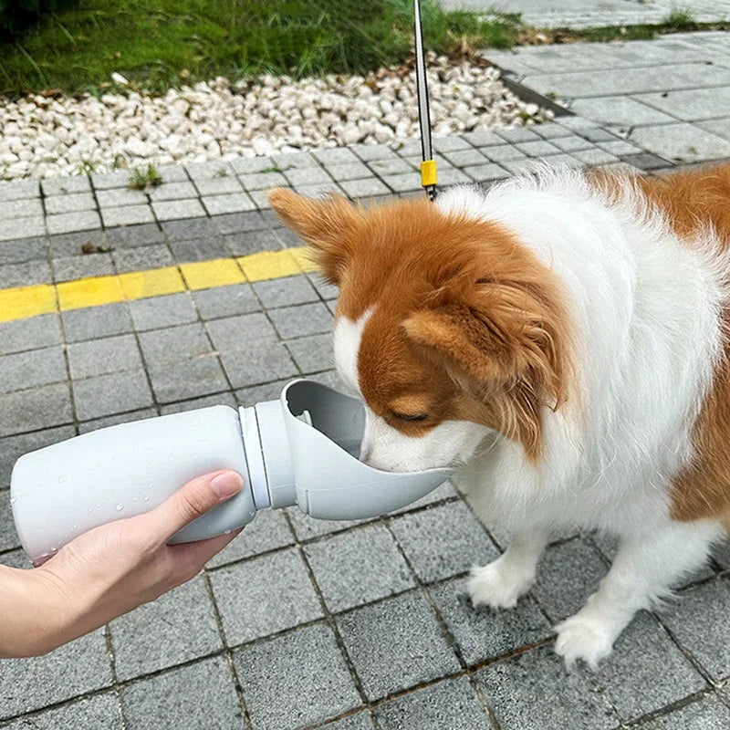 Silicone Fully Collapsible Portable Pet Water Bottle