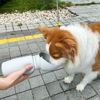 Silicone Fully Collapsible Portable Pet Water Bottle